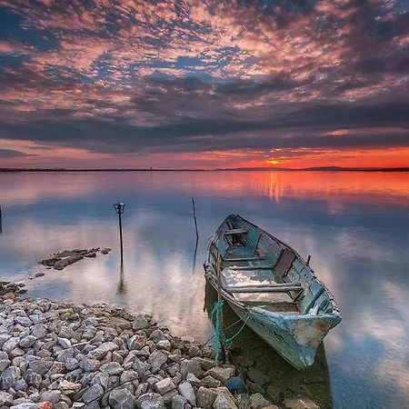 L'eldorado * 帕拉瓦莱弗洛